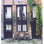 Bicicleta estacionada