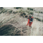 Boy seen through tall grass