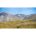 Natura a lui Arthur Pass, Noua Zeelandă