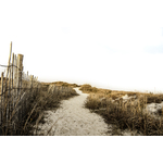 Chemin d’accès à Atlantic Beach, États-Unis d’Amérique