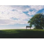 Banc solitaire dans un parc