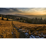 Nature's path with melting snow