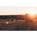 Pôr do sol e pastagens Bourdeilles