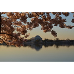 Blossom and monumental building above the water