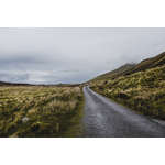 Road in nature