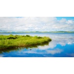 Lago tranquilo y hierba verde