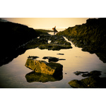 Coastal rocks with water and surfer