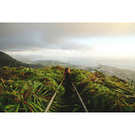 Vue la côte de Oahu