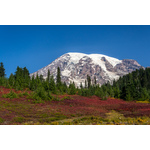 Colorful landscape with a snowy mountain