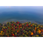 Colorful trees near a lake