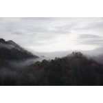 Dark wooded hills in fog