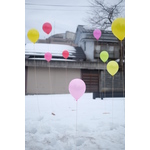 Balloons in a snow