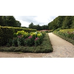 Grote botanische tuin