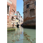 Canales sucios en Venecia