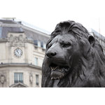 Lion pÃ¥ Trafalgar Square