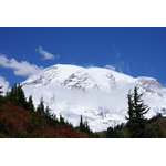 Mount Rainier краєвид