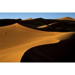 Desert la soare