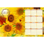 Calendário floral para 2013