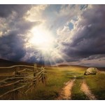 Clôture en bois dans la campagne